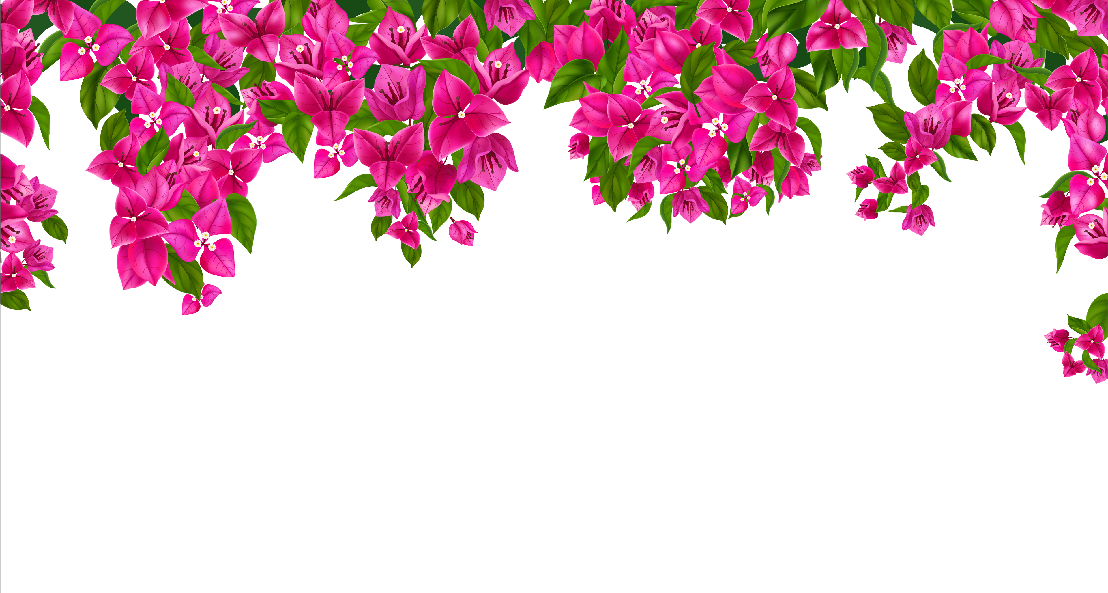 Flower Background